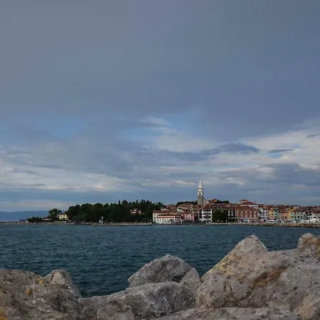 Daire Apartmaji Fani